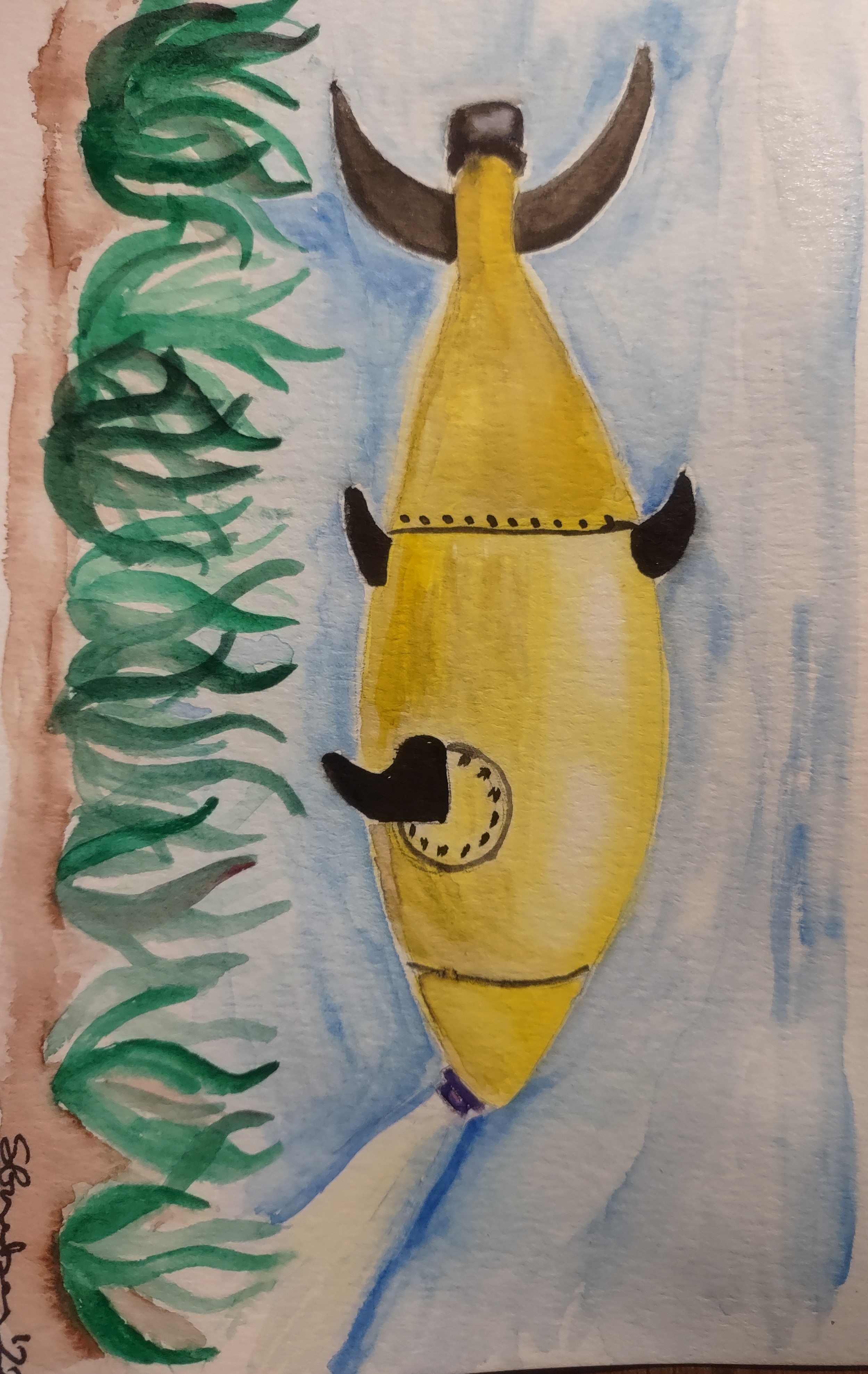 Underwater Autnomous Vehicle